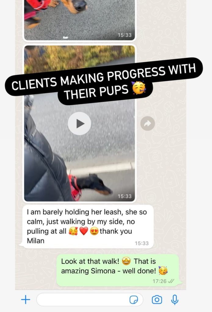 WhatsApp Image 2025-03-06 at 15.24.30_fb0ca8b6