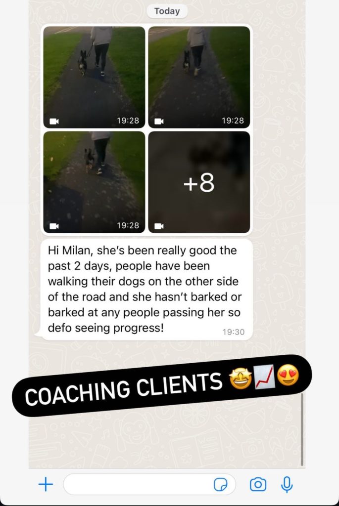 WhatsApp Image 2025-03-06 at 15.24.44_69447e88