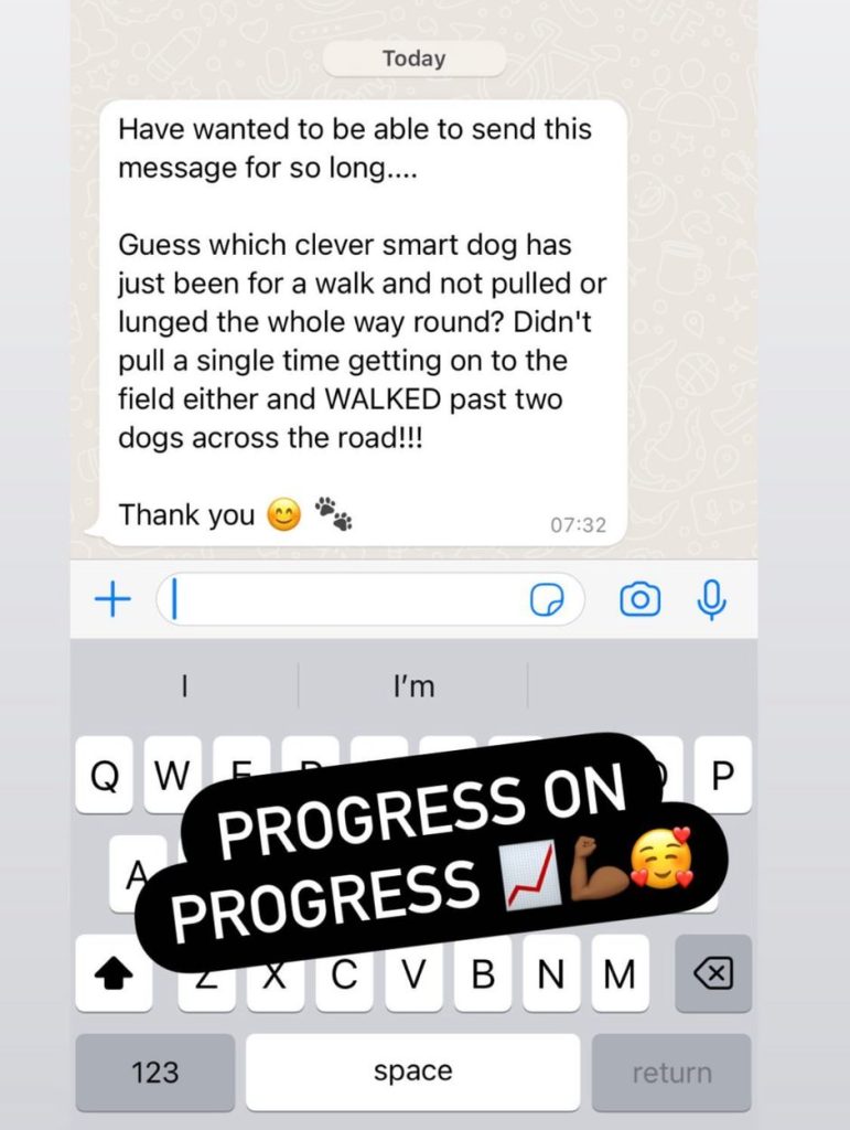 WhatsApp Image 2025-03-06 at 15.24.45_7a588d72