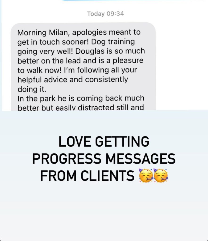 WhatsApp Image 2025-03-06 at 15.24.46_f7eab49e