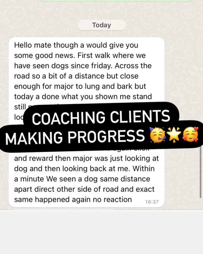 WhatsApp Image 2025-03-06 at 15.24.47_86c9a9b5