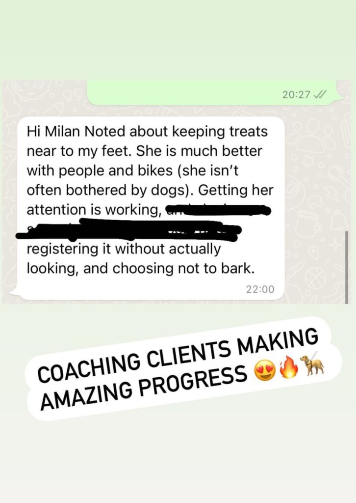 WhatsApp Image 2025-03-06 at 15.24.47_c9081d71