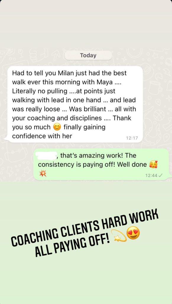 WhatsApp Image 2025-03-06 at 15.24.58_58c66c47